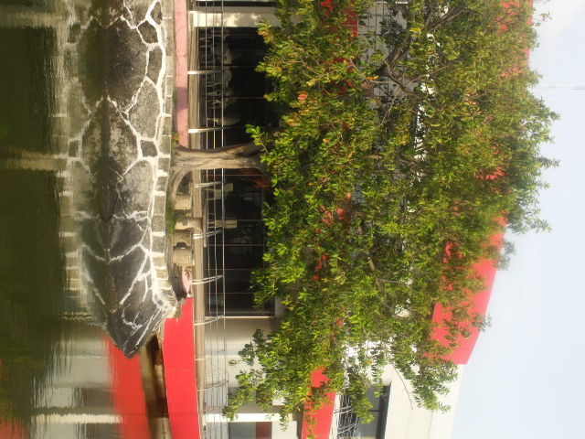 Nuestro lago alado de la cafateria más grande de la ciudad en nuestras instalaciones